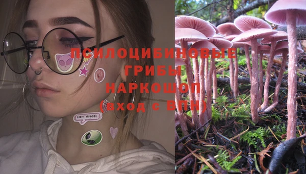 молекула духа Балахна