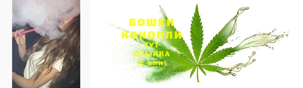 ПСИЛОЦИБИНОВЫЕ ГРИБЫ Баксан
