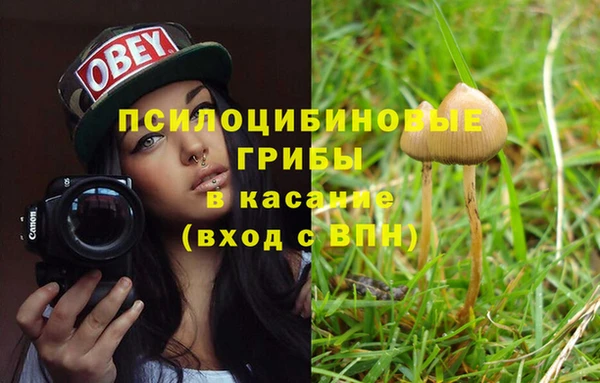 ПСИЛОЦИБИНОВЫЕ ГРИБЫ Баксан
