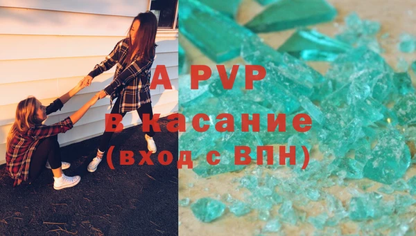 ПСИЛОЦИБИНОВЫЕ ГРИБЫ Баксан