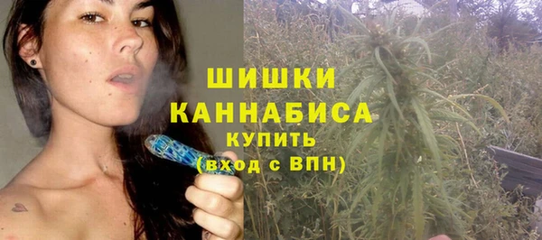 молекула духа Балахна
