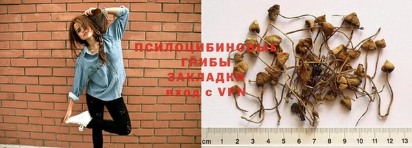 молекула духа Балахна
