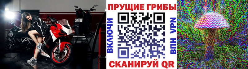 цена   Уржум  Псилоцибиновые грибы MAGIC MUSHROOMS 